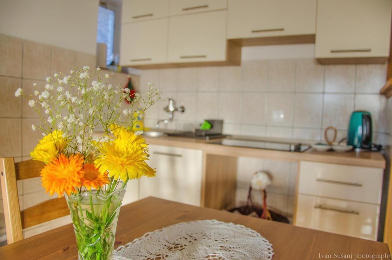 Apartment Rasce Ogulin Luaran gambar